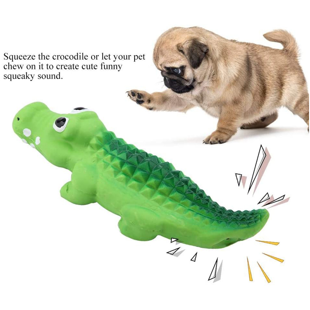 Jouet à Mâcher pour Chien
