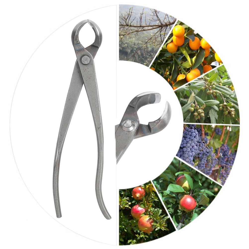 Description Picture 3 of itemMultifunction Carbon Steel Garden Branch Cutter Long Handle Scissor Bonsai Pruning Shear Tools