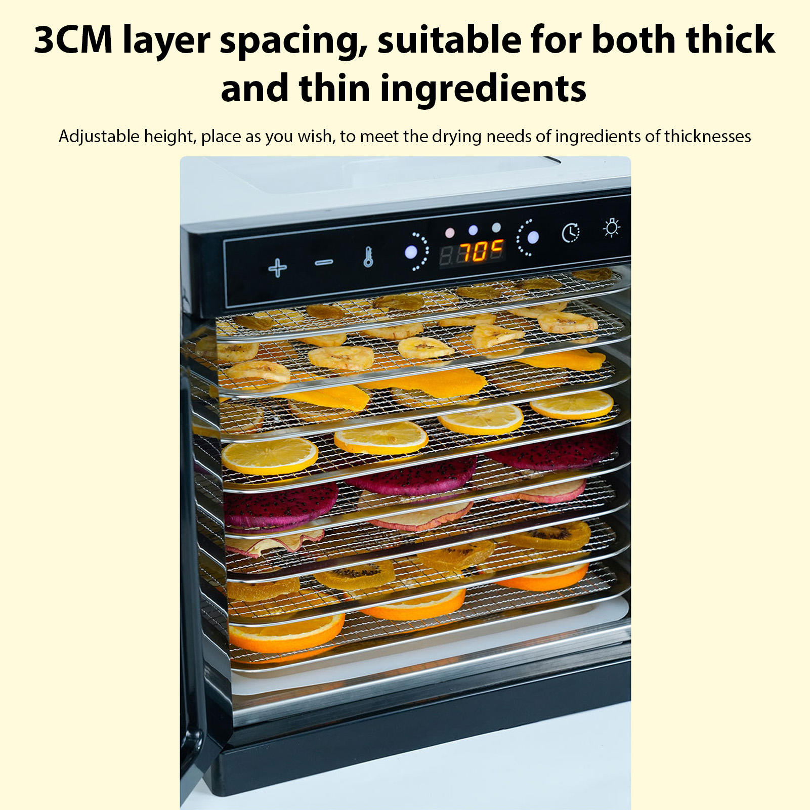 food dehydrator with viewing window