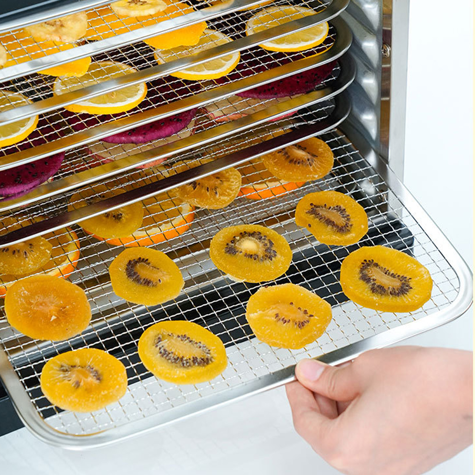 food dehydrator with viewing window