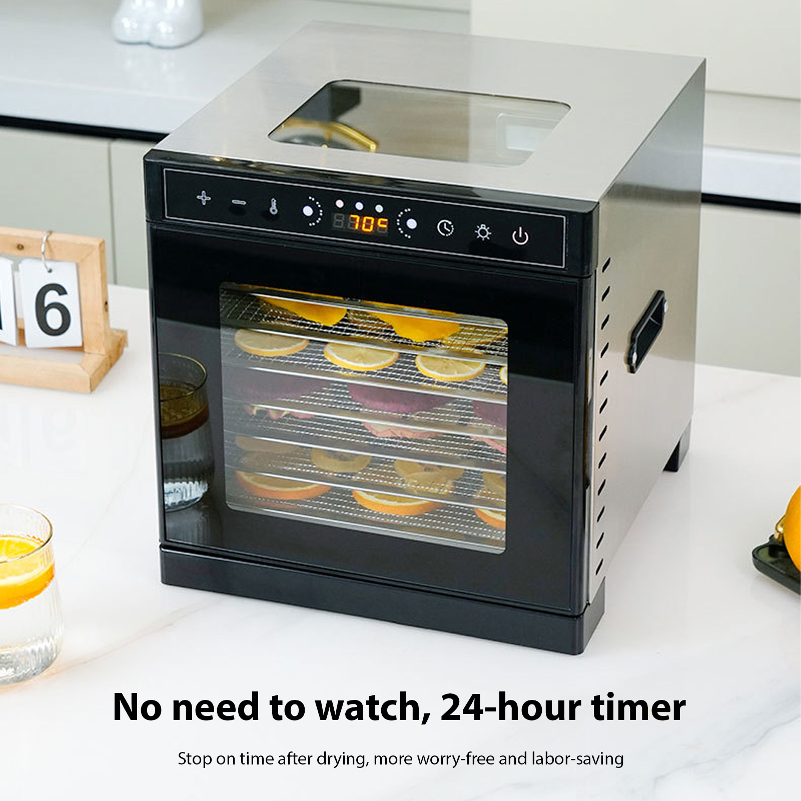 food dehydrator with viewing window