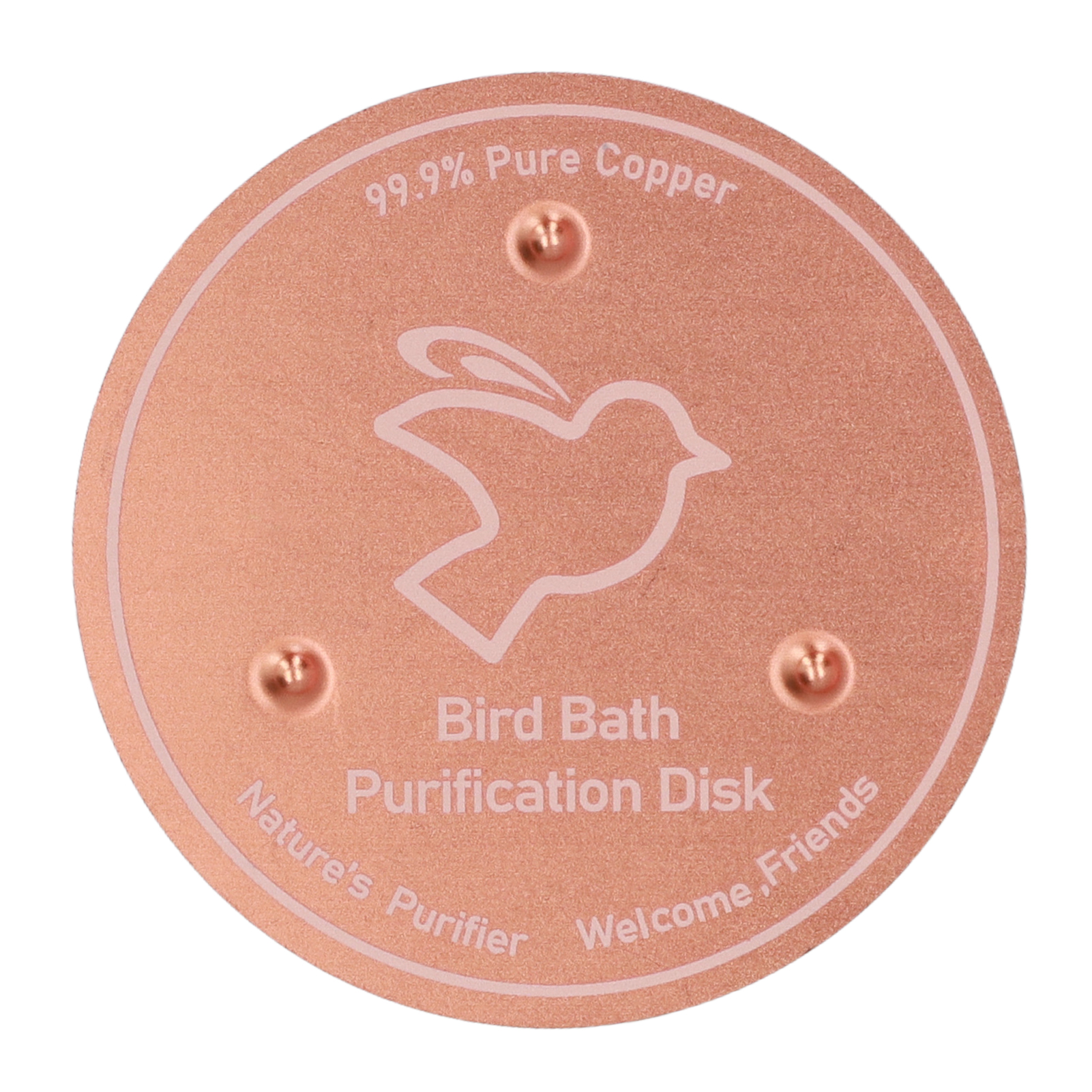 （TEMU专卖/合伙人项目二/Y2）bird bath  disk  鸟水池清洁器 铜质圆盘
