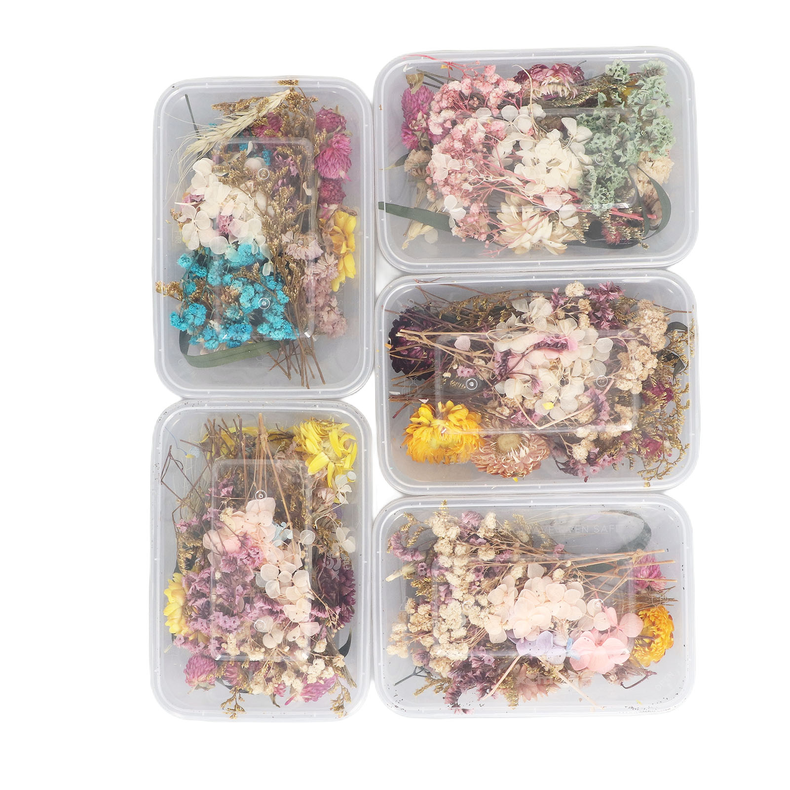 （TEMU专卖/合伙人项目二/LQQ）（5个一包采购）干花手工DIY制作材料包天然永生花情人节礼品花-款式随机