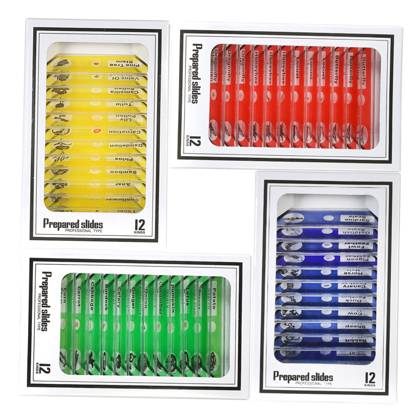 Lames de Microscope, 25pcs Biologie Verre Préparé Microscope Lames Spécifiques de Laboratoire avec Boîte avec Insectes Animaux Bactéries