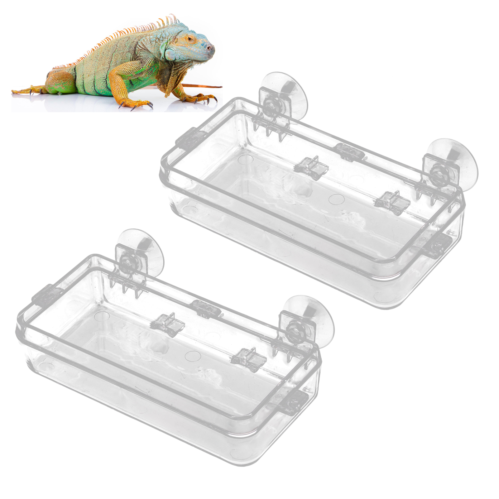 Anti Escape Bowl Suction Cup Feeder Transparent Detachable Gecko Feeder ...